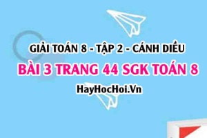 Bài 3 trang 44 Toán 8 Tập 2 Cánh Diều